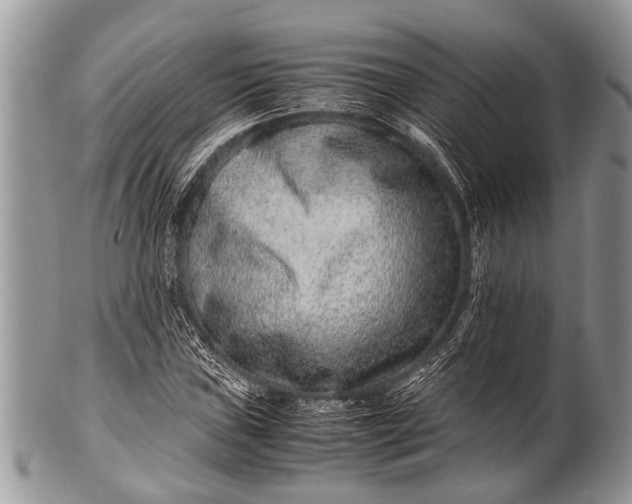 X0000100401019200806201731