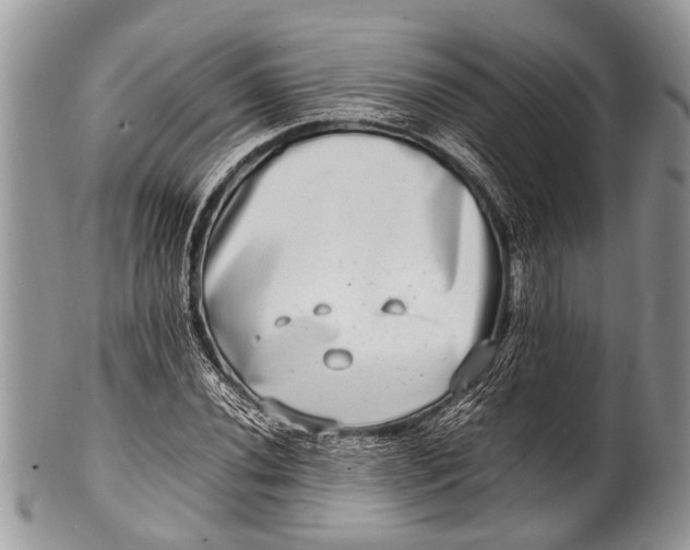 X0000100401020200806201731