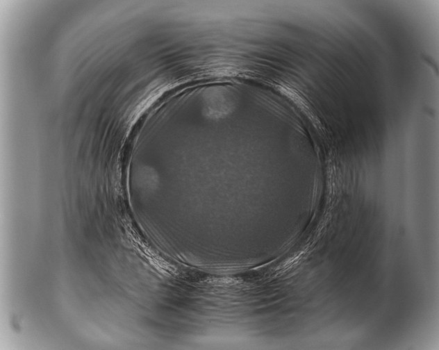 X0000100401023200806201731
