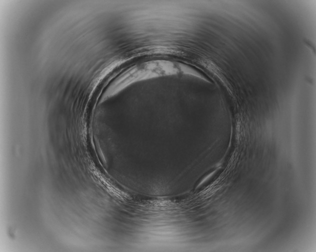 X0000100401024200806201731