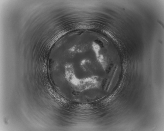X0000100401025200806201731