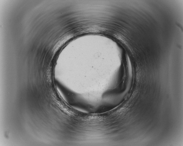 X0000100401026200806201731