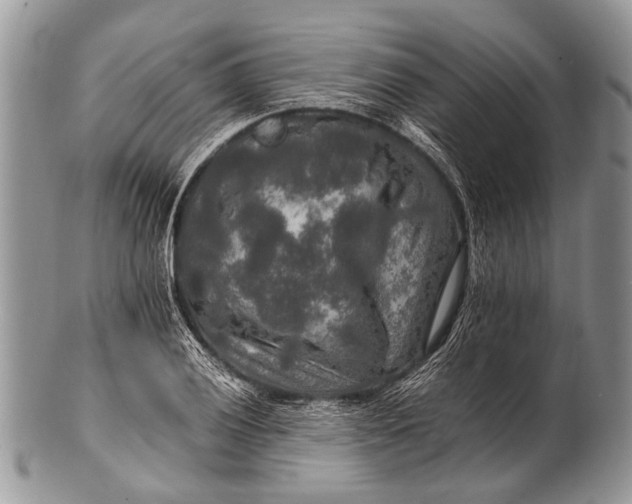 X0000100401028200806201731