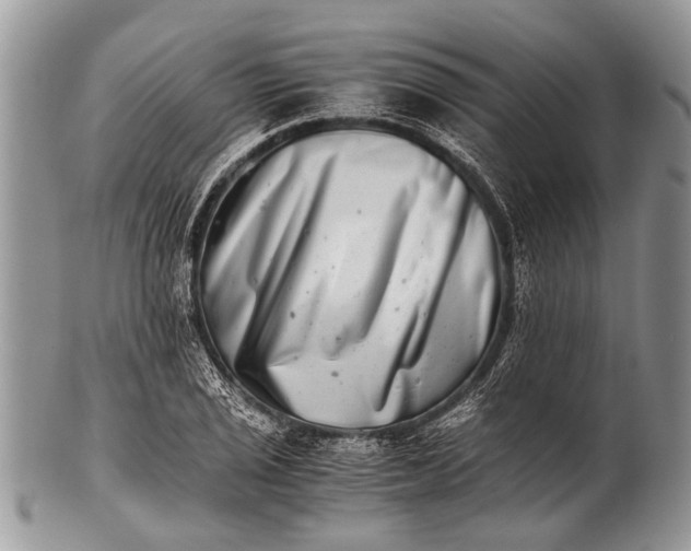 X0000100401029200806201731