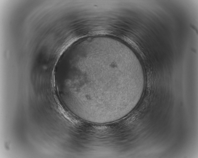 X0000100401031200806201731