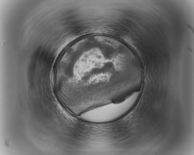 X0000100401032200806201731