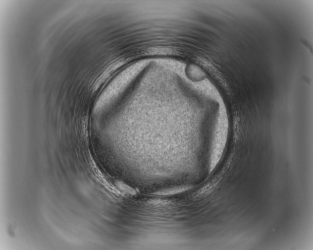 X0000100401033200806201731