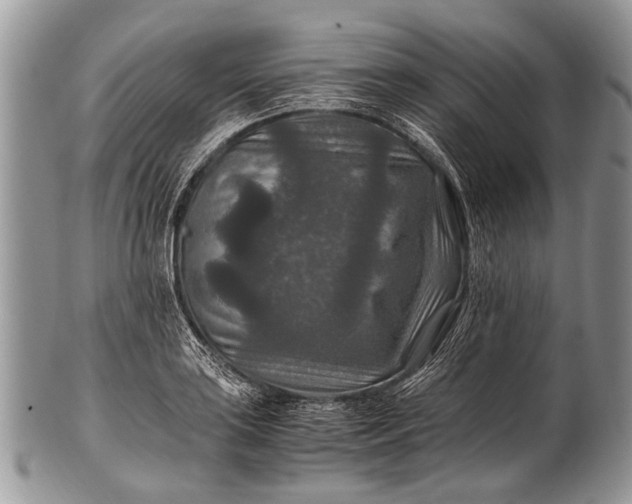 X0000100401035200806201731