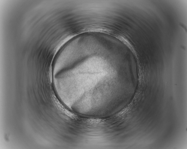 X0000100401036200806201731