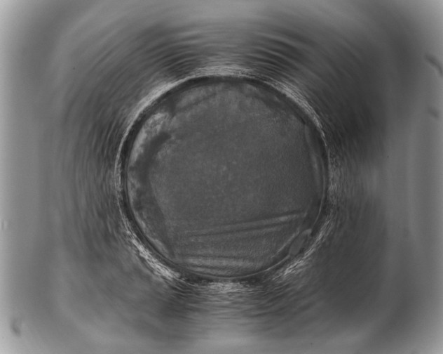 X0000100401037200806201731