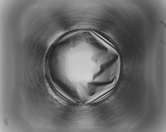 X0000100401038200806201731