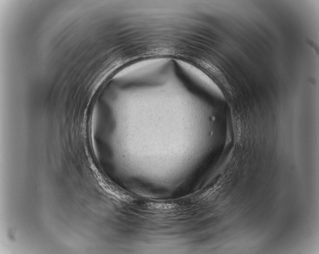X0000100401039200806201731