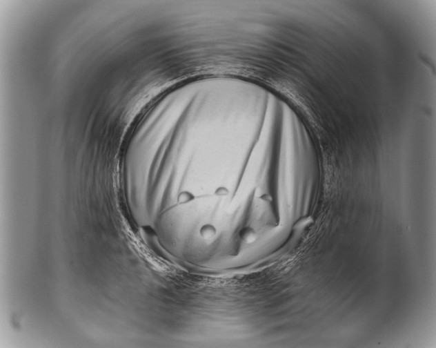 X0000100401040200806201731