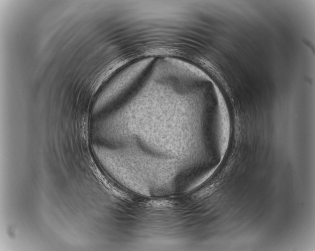 X0000100401041200806201731