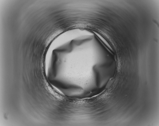 X0000100401042200806201731
