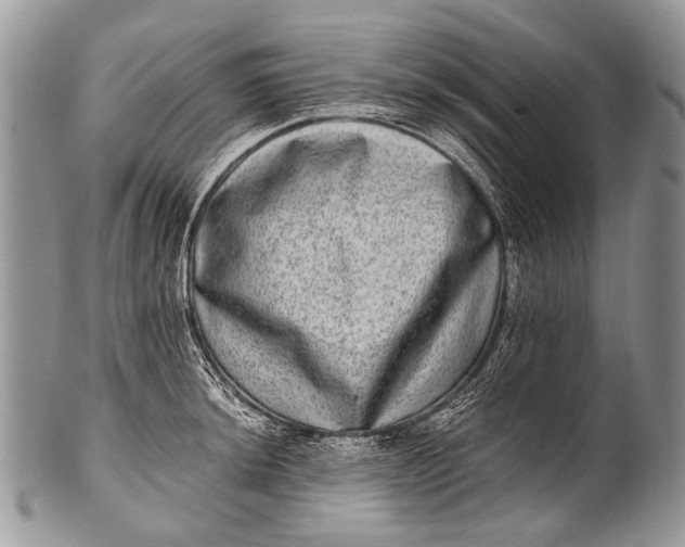 X0000100401044200806201731