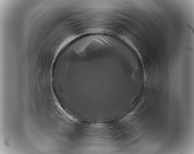 X0000100401045200806201732