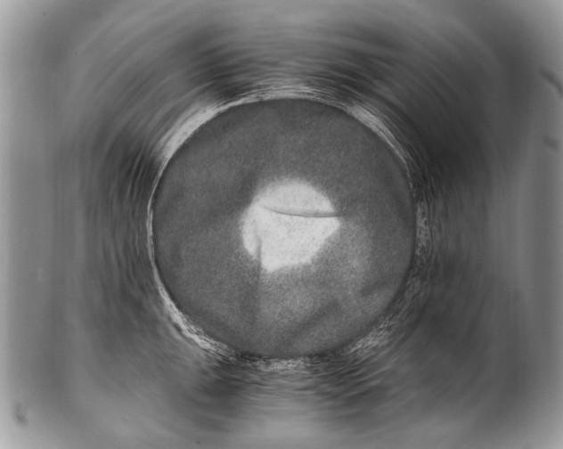 X0000100401047200806201732