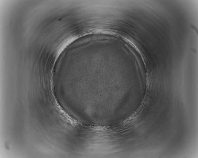 X0000100401048200806201732