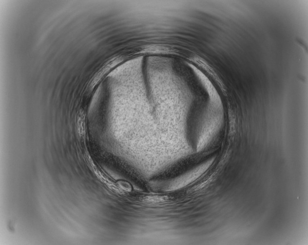 X0000100401049200806201732