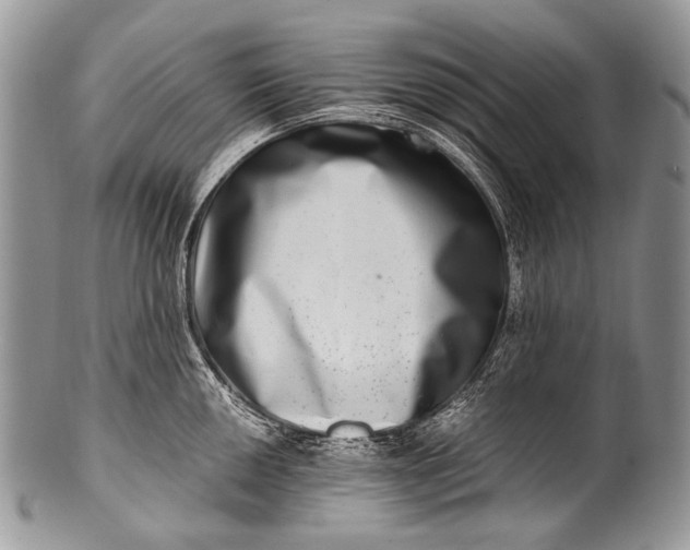 X0000100401050200806201732
