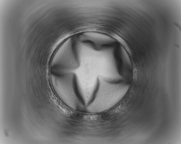 X0000100401051200806201732