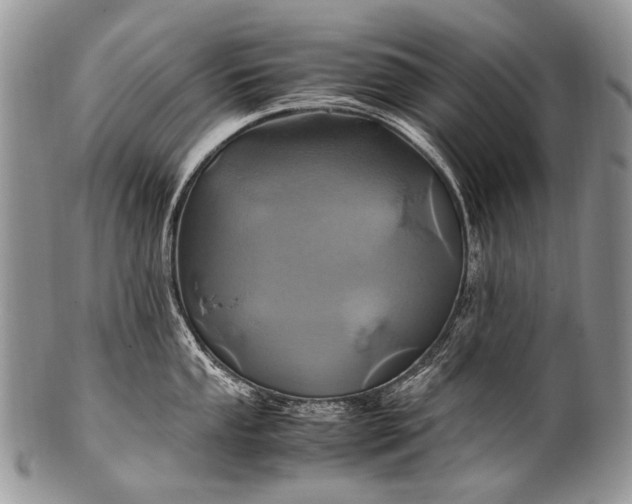 X0000100401053200806201732