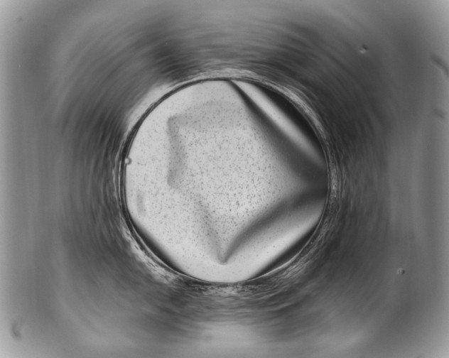 X0000100401054200806201732