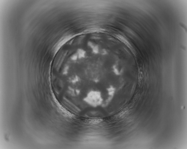 X0000100401055200806201732