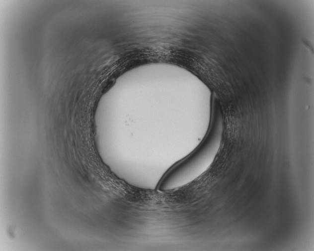 X0000100401057200806201731