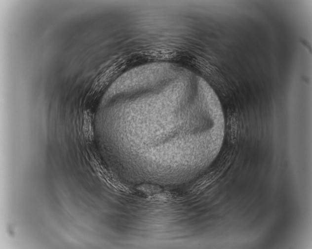 X0000100401058200806201731