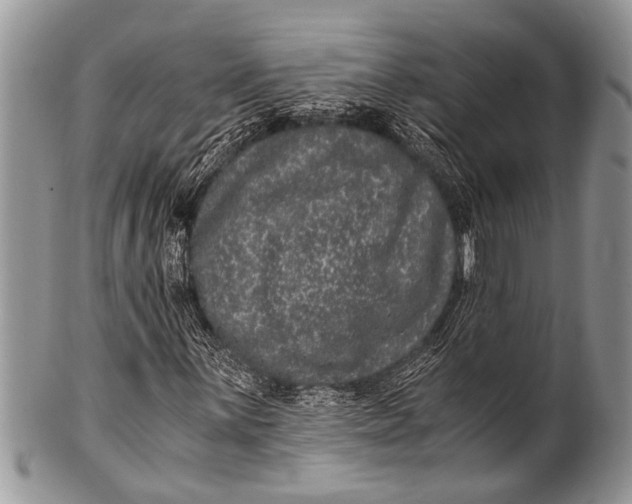 X0000100401059200806201731