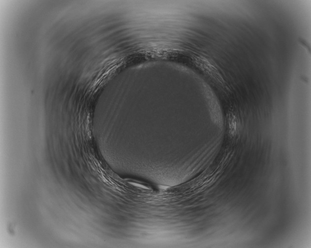 X0000100401060200806201731