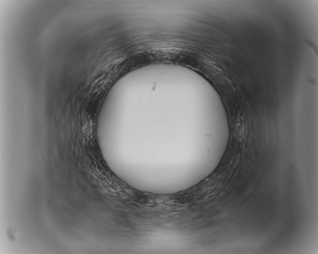 X0000100401061200806201731
