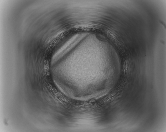 X0000100401062200806201731