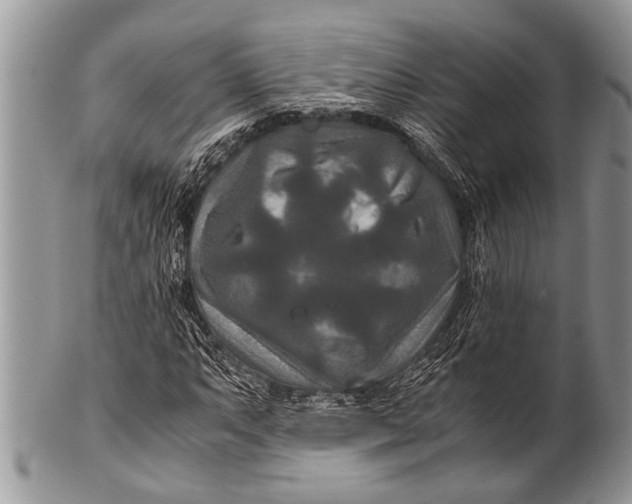 X0000100401063200806201731