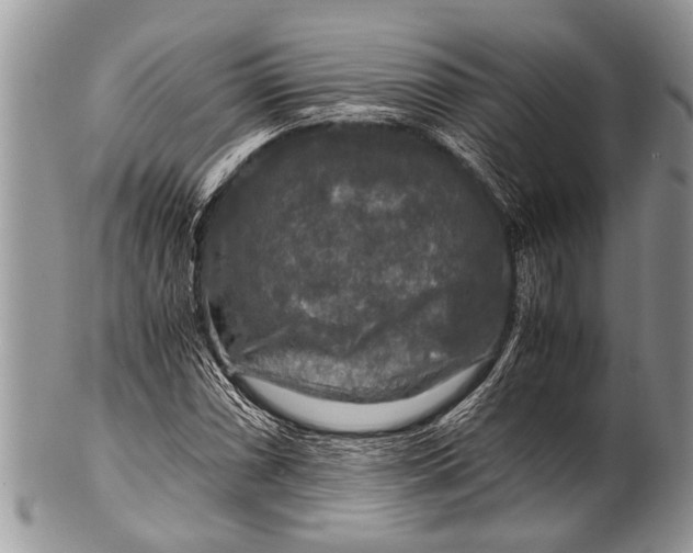X0000100401066200806201731