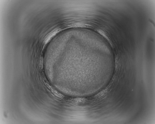 X0000100401067200806201731