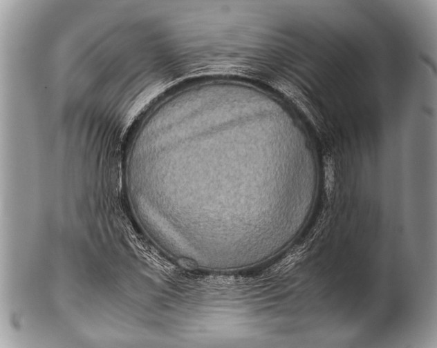 X0000100401069200806201731