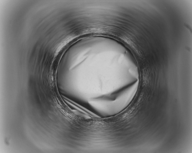 X0000100401070200806201731