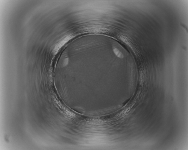 X0000100401071200806201731