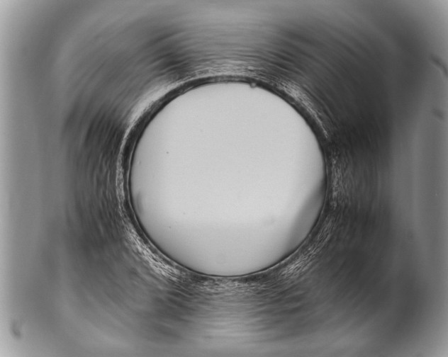 X0000100401072200806201731