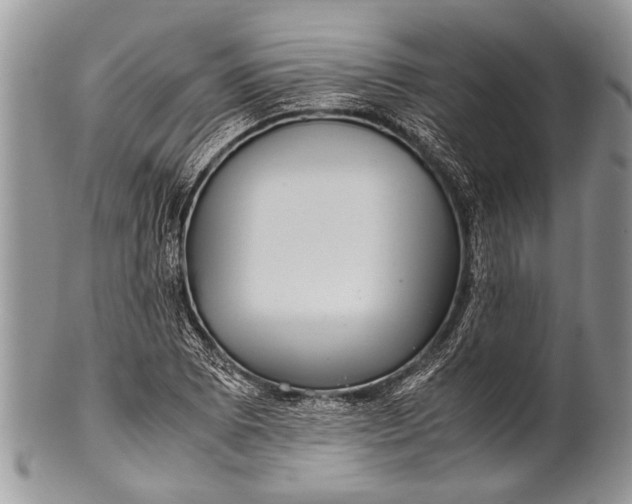 X0000100401073200806201731
