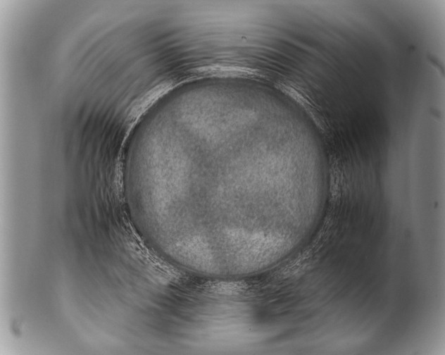X0000100401074200806201731
