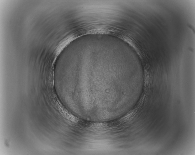 X0000100401075200806201731