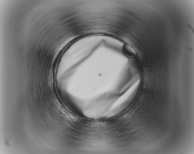 X0000100401076200806201731
