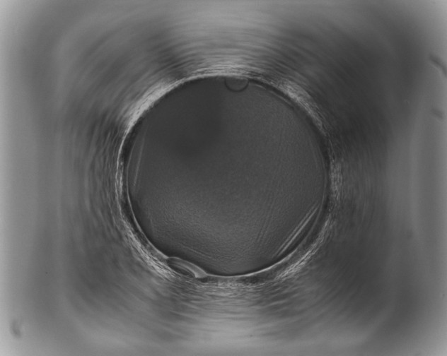 X0000100401077200806201731