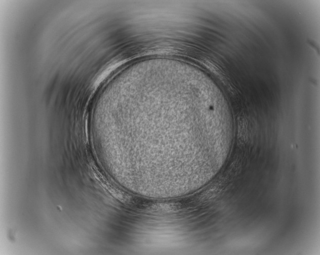 X0000100401078200806201731