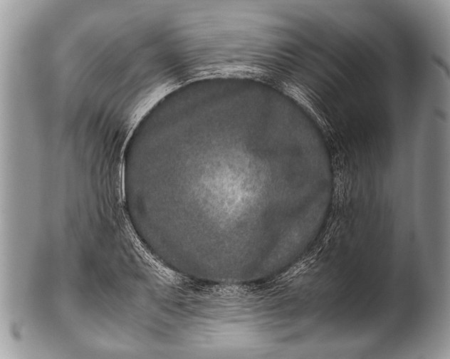 X0000100401079200806201731