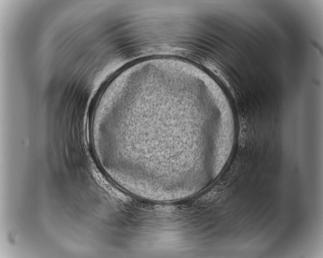 X0000100401080200806201731